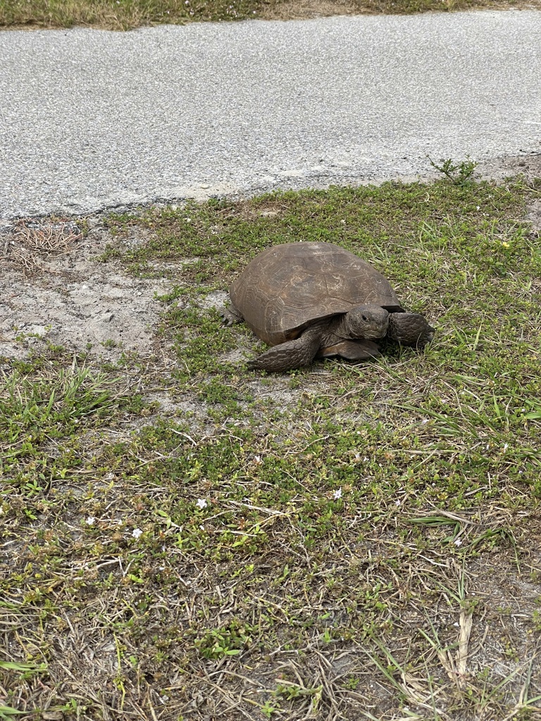 逃げない　12-18-25