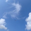 何を撮ったんでしょうか　2024-4-20