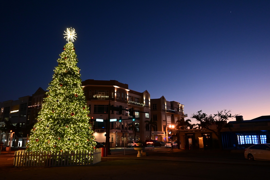 Punta Gorda Christmas Tree 12-12-24