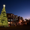 Punta Gorda Christmas Tree 12-12-24