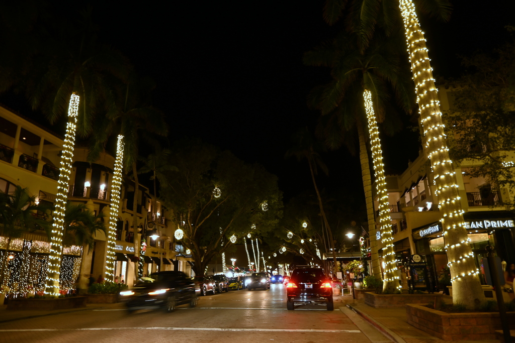 5th Ave S 12-19-24