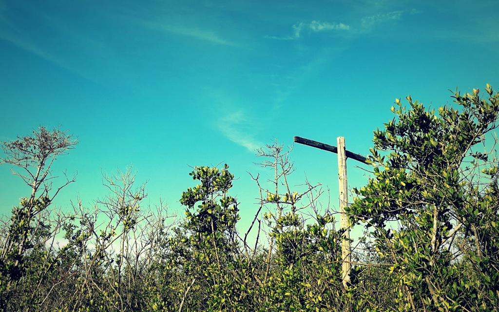 Lone Power Pole 4-6-23