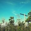 Lone Power Pole 4-6-23