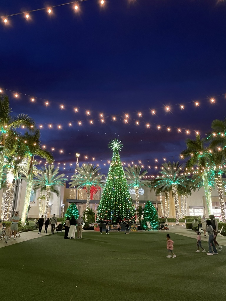 Thanksgiving Evening 11-27-25