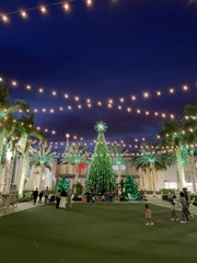 Thanksgiving Evening 11-27-25