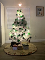 Amoreもうれしそうな　12-10-25