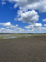 Dried Lake  10-15-25