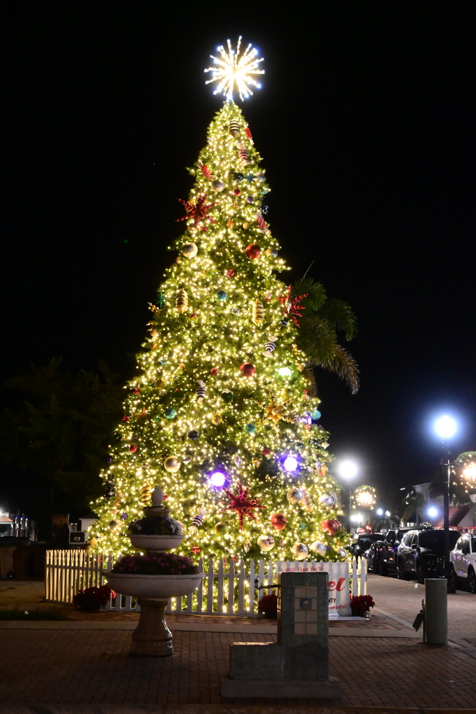 Fountain of Youth  12-6-25