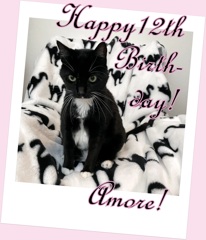 Amore B-day 2025
