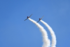 Warbird Thunder XIX  10-31-25