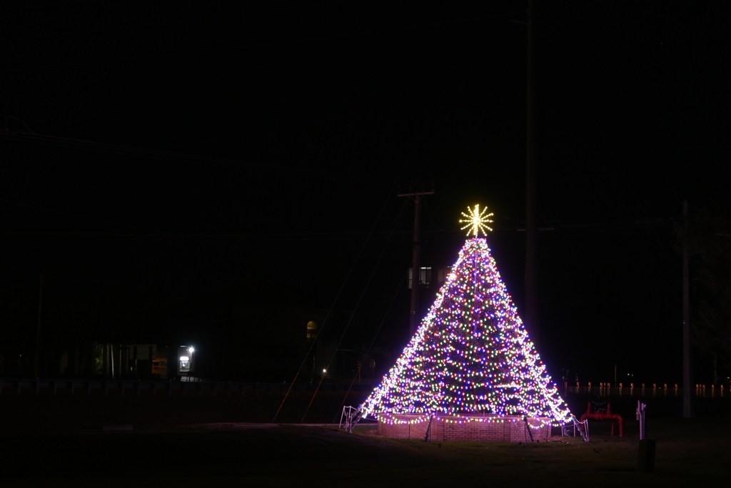 Christmas Tree in Port Charlotte 2024
