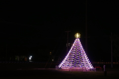 Christmas Tree in Port Charlotte 2024