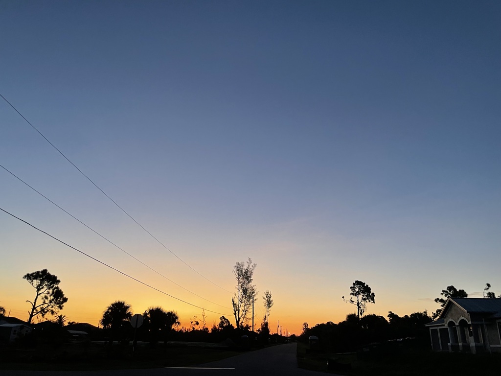 Dawn IV 8-8-23