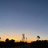 Dawn IV 8-8-23