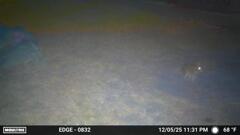 夜中のうさぎ　12-5-25