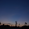 The Dawn and the Paper Moon 8-14-23