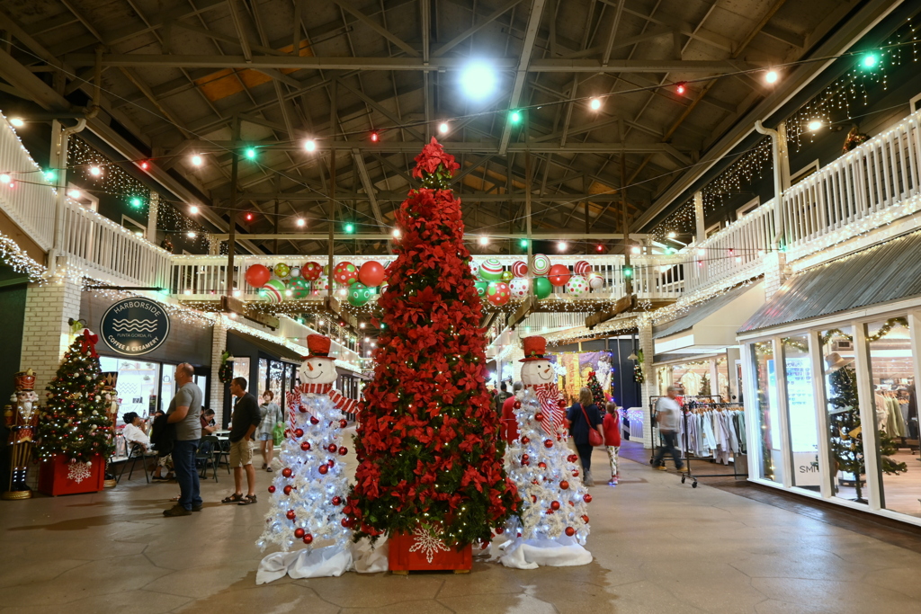 By the Ice Cream Shop 12-6-25