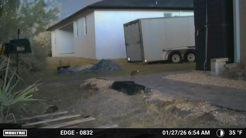 通り道のうさぎ　1-27-26