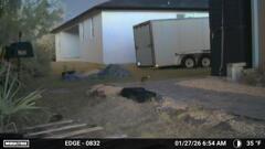 通り道のうさぎ　1-27-26