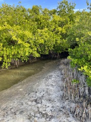 いのちのうまれるところ　1-18-26