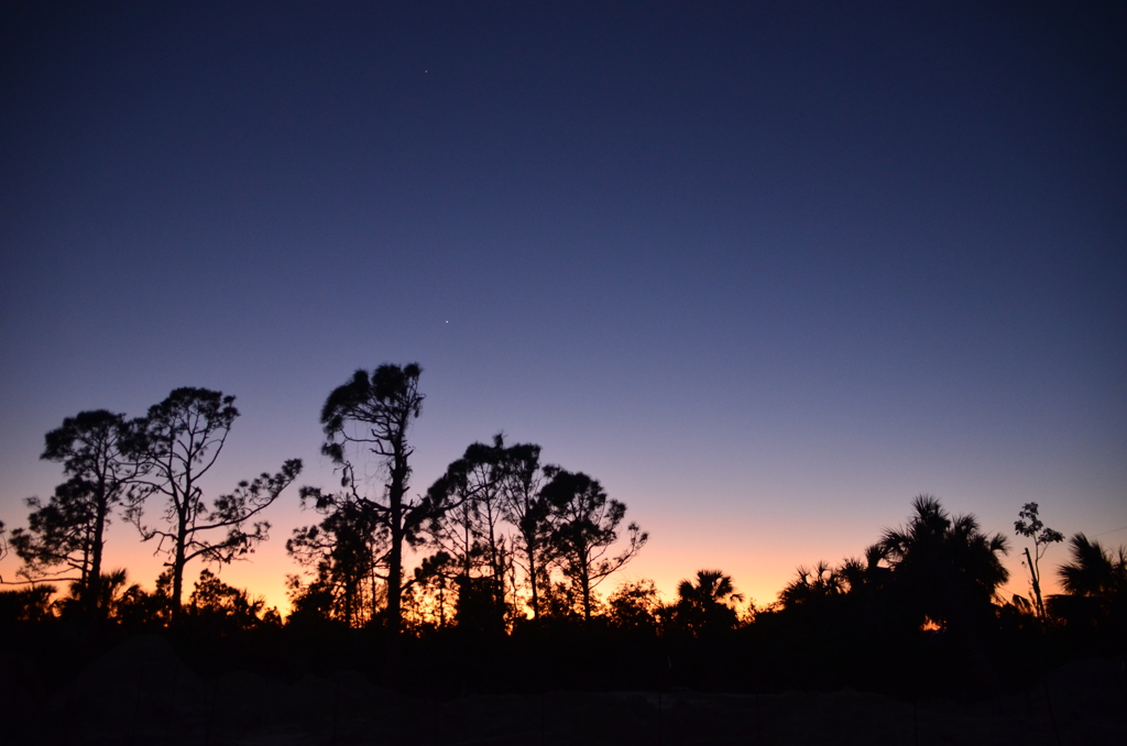 Dusk I 2-14-23