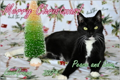 Christmas Card_Kura and Blog 2024