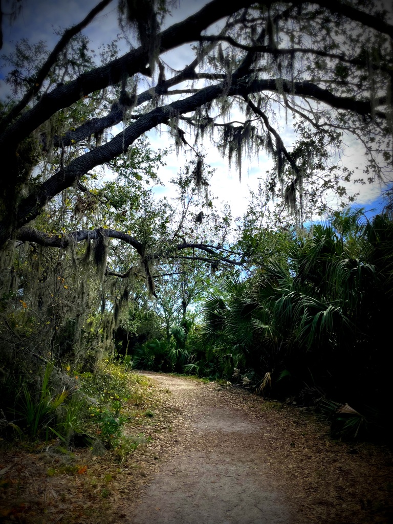 Ollie's Pond Park 2-4-25