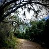 Ollie's Pond Park 2-4-25