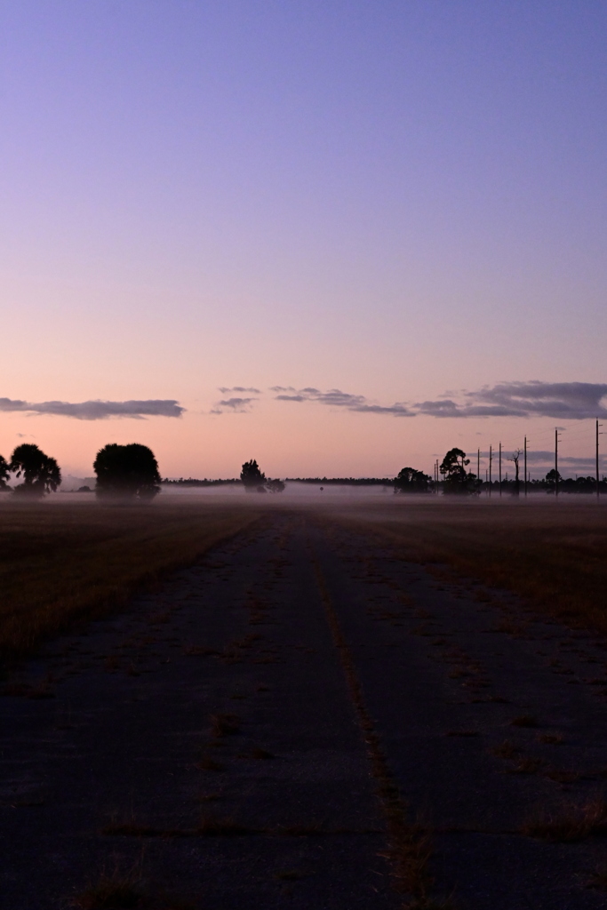 Desolated Road 1-1-26