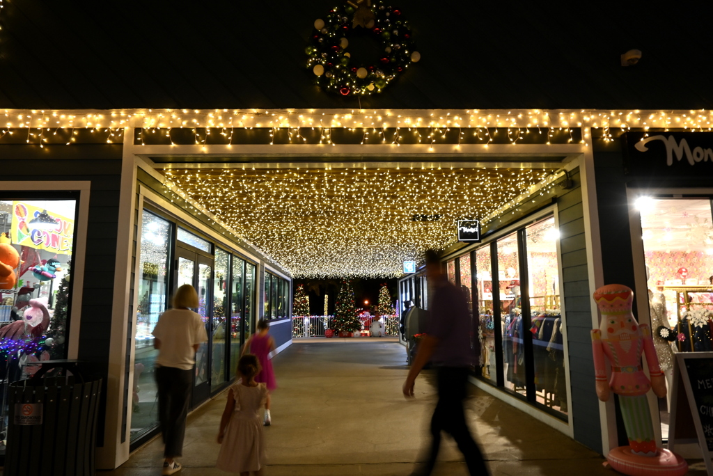 きらきらの天井　12-6-25