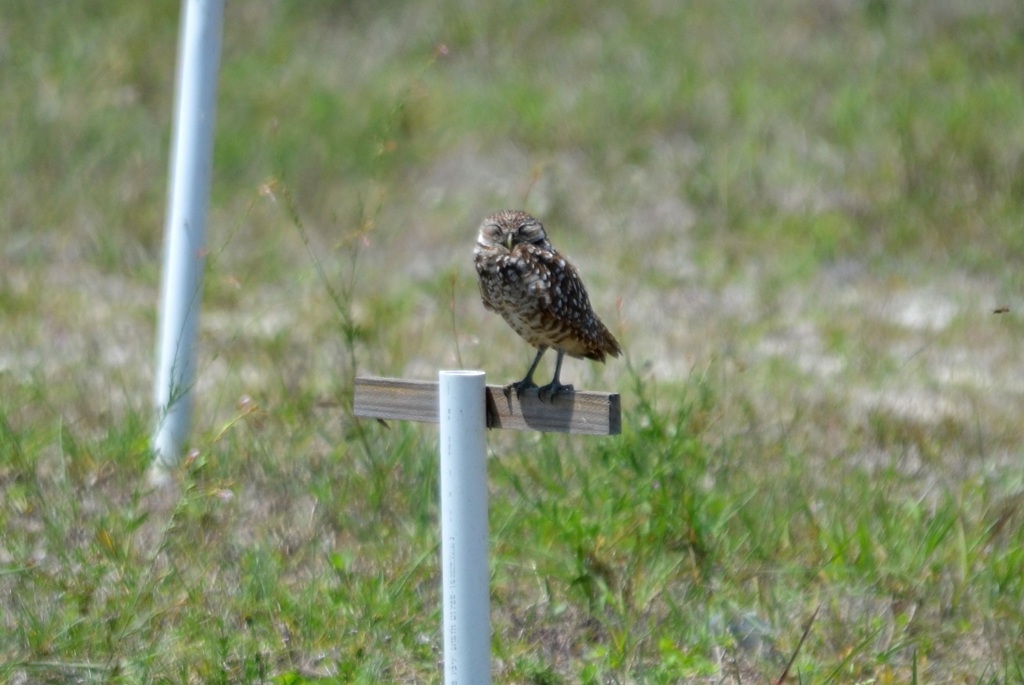 Near Library I 4-27-23