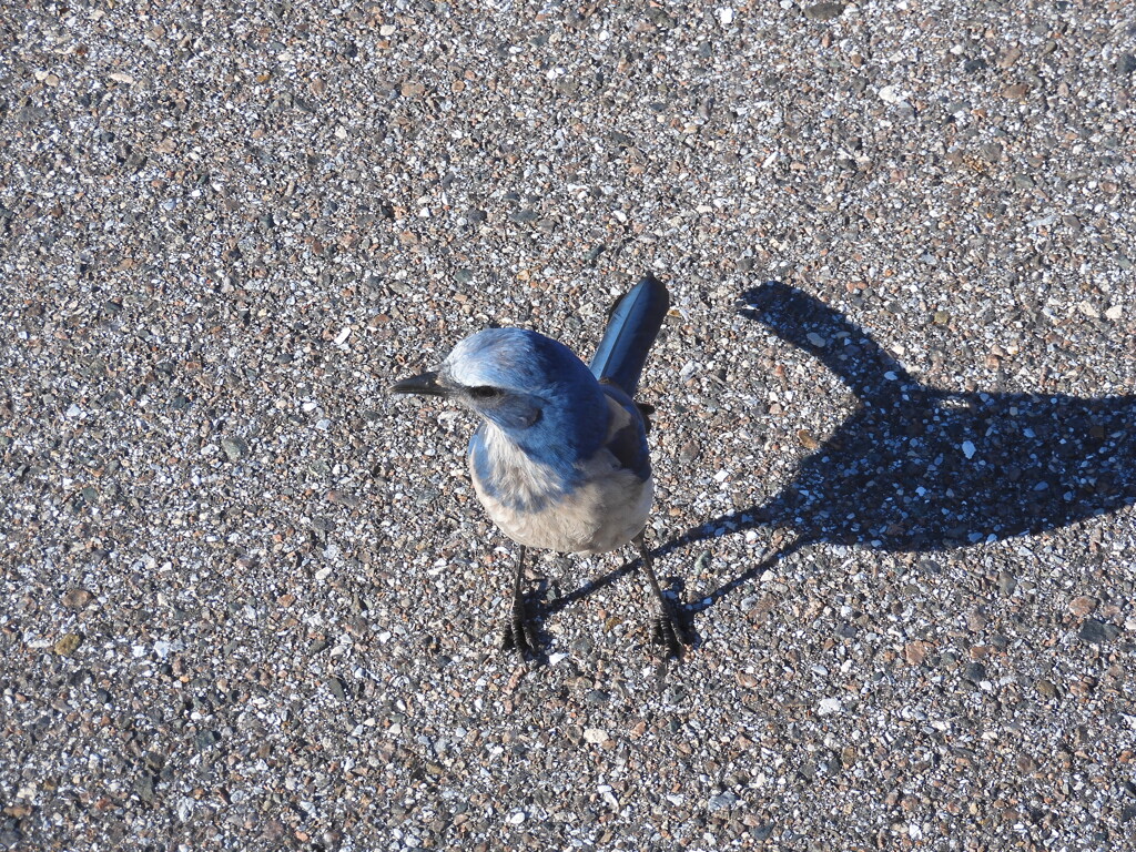 至近距離でした　2-14-23