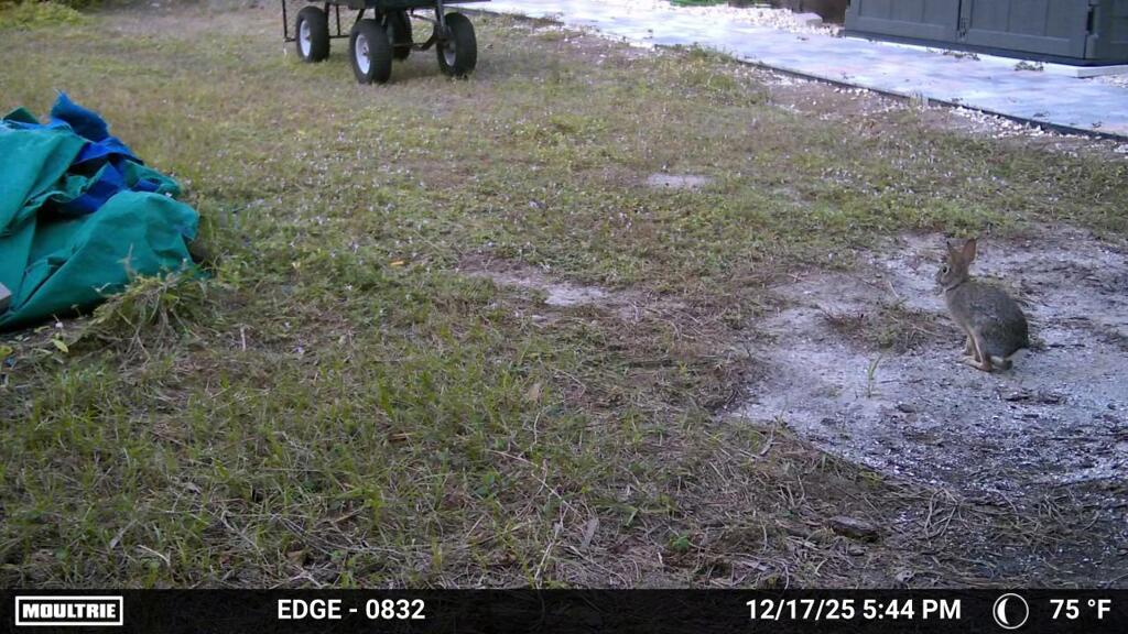 耳済ます　12-17-25