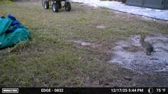 耳済ます　12-17-25