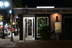 Christmas Tree in the Window 12-6-25