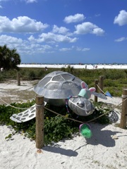 Easter Turtle 4-19-25