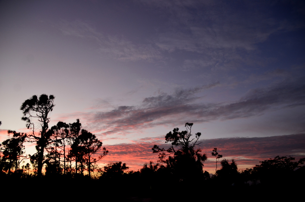 Sunset I 11-11-22