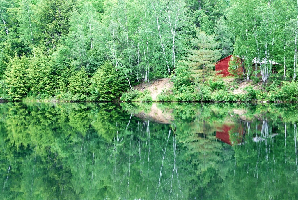 Stoneham June 2013