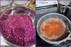 American Beautyberries 1-25-26