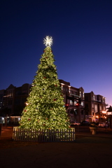 Punta Gorda Christmas Tree 2024