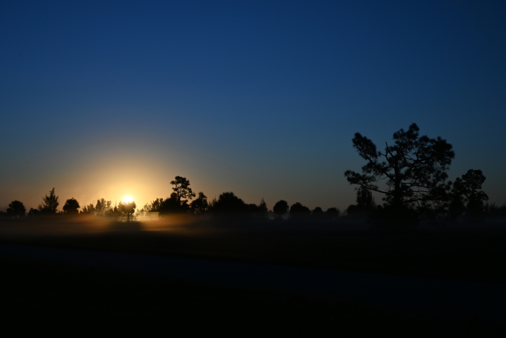 The Sun Through the Mist 1-1-26