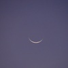 Paper Moon 8-14-23