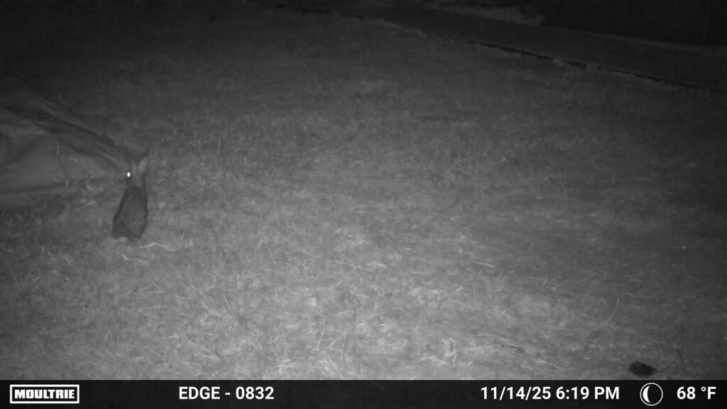 何見てる　11-14-25