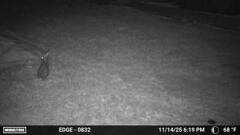 何見てる　11-14-25