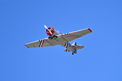 Warbird Thunder XXIV SNJ-2  10-31-25