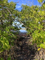 乾季のたのしみ　1-18-26