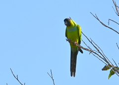 撮ってほしかったらしい　11-18-25