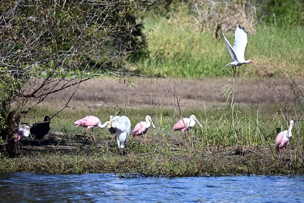 みんな仲間　10-15-25