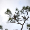 The Wind 2-3-23