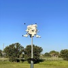 Purple Martin Condo 6-27-23